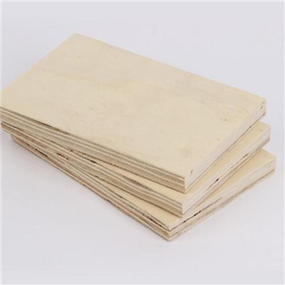Multilayer Poplar Plywood